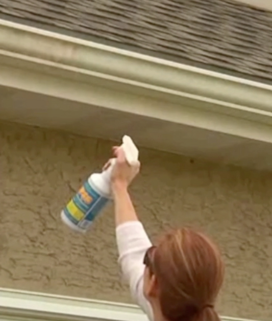 How to Clean Vinyl Siding and Gutters