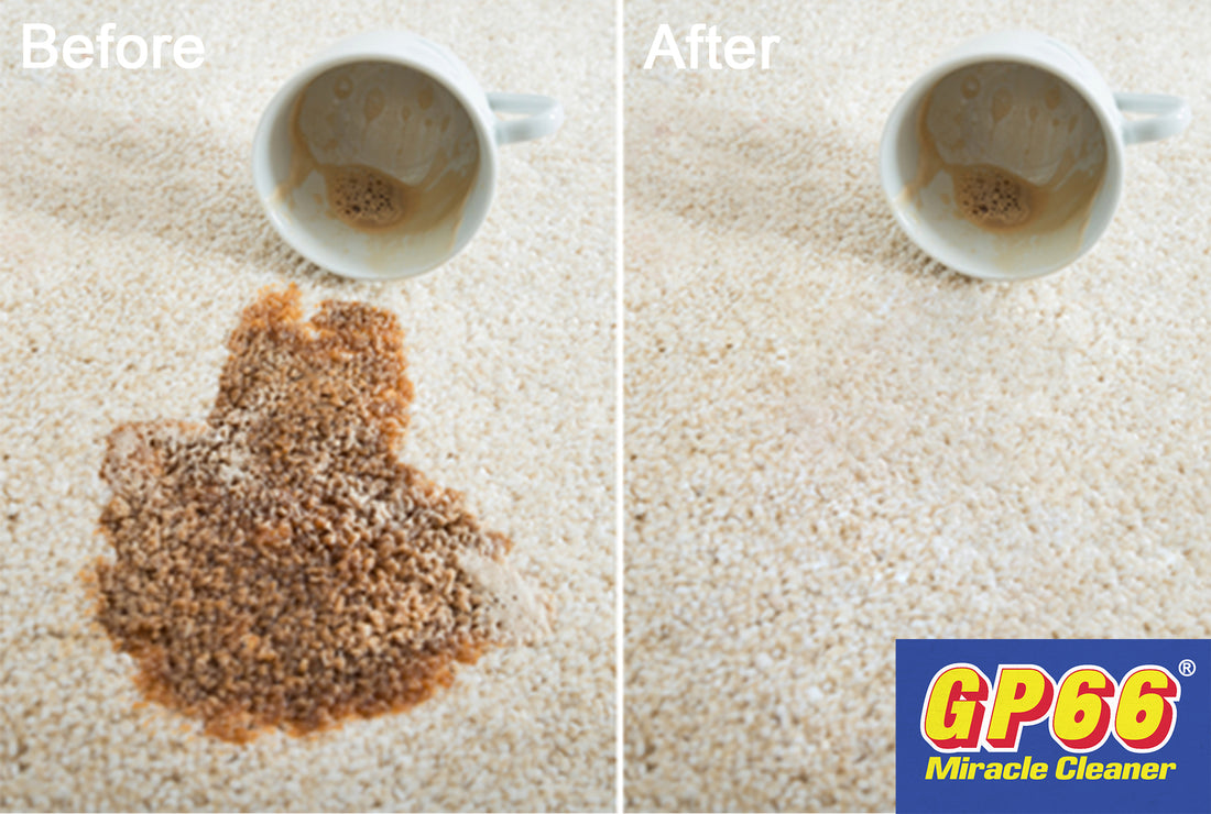 How to Remove Coffee Stains From Carpets and Furniture!